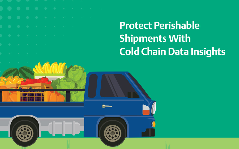 Protect Perishable Shipments with Cold Chain Data Insights