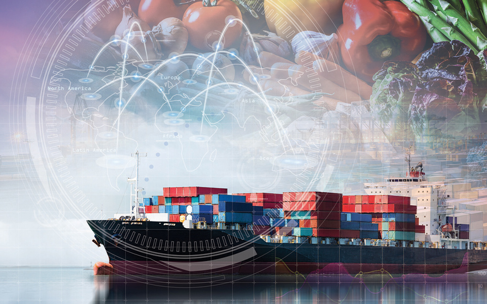 Best Practices for Monitoring and Securing Cross-Border, Cold Chain Shipments